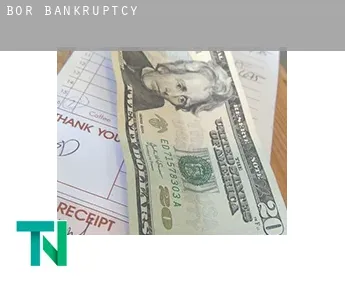 Bor  bankruptcy