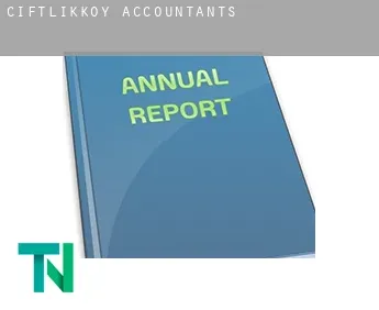 Çiftlikköy  accountants