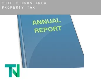 Côté (census area)  property tax