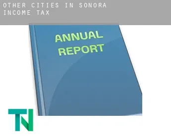 Other cities in Sonora  income tax