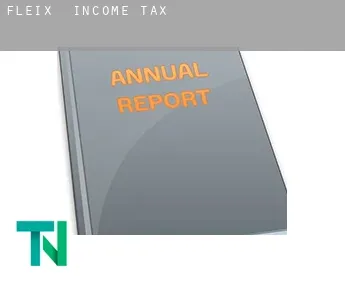 Fleix  income tax