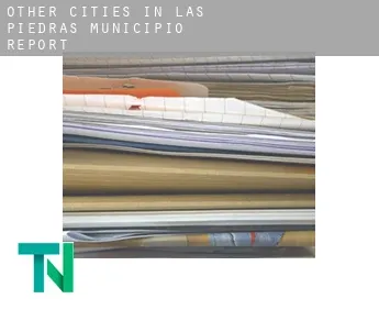 Other cities in Las Piedras Municipio  report