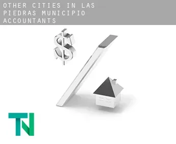 Other cities in Las Piedras Municipio  accountants