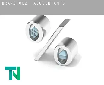 Brandholz  accountants