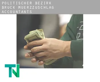 Politischer Bezirk Bruck-Muerzzuschlag  accountants