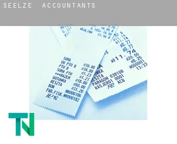 Seelze  accountants