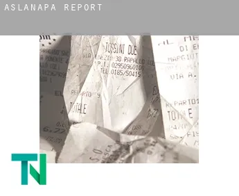 Aslanapa  report