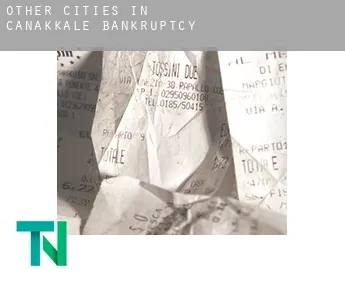 Other cities in Canakkale  bankruptcy