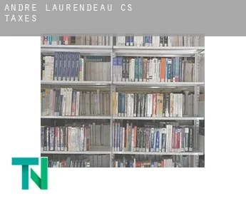 André-Laurendeau (census area)  taxes