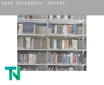 Ober-Erlenbach  report