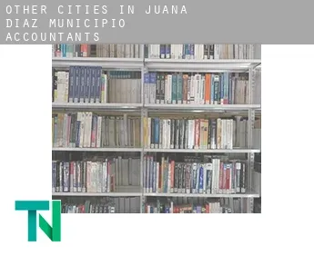 Other cities in Juana Diaz Municipio  accountants