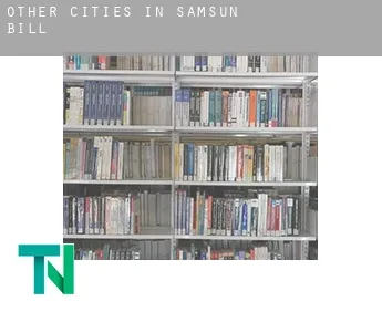 Other cities in Samsun  bill