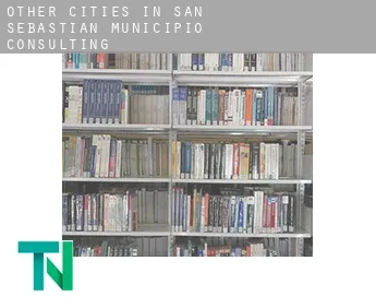 Other cities in San Sebastian Municipio  consulting