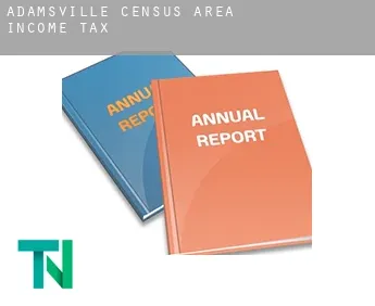 Adamsville (census area)  income tax