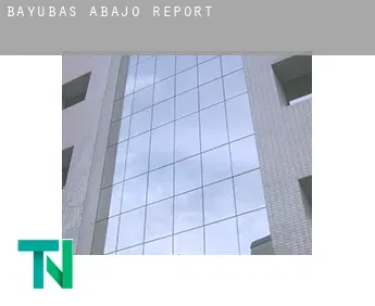 Bayubas de Abajo  report