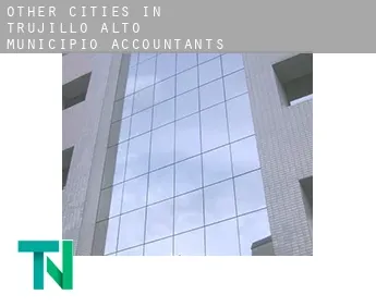 Other cities in Trujillo Alto Municipio  accountants