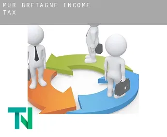 Mûr-de-Bretagne  income tax