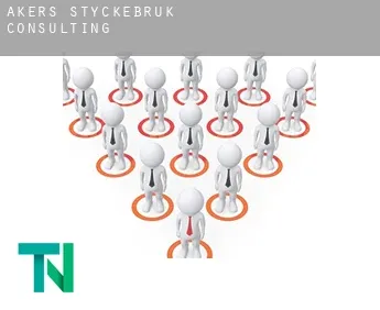 Åkers Styckebruk  consulting