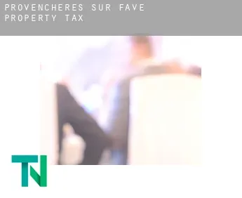 Provenchères-sur-Fave  property tax