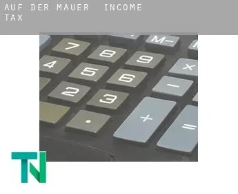 Auf der Mauer  income tax