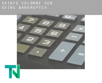 Sainte-Colombe-sur-Seine  bankruptcy