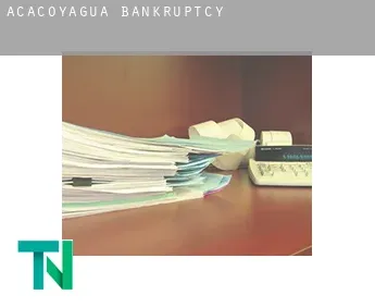 Acacoyagua  bankruptcy