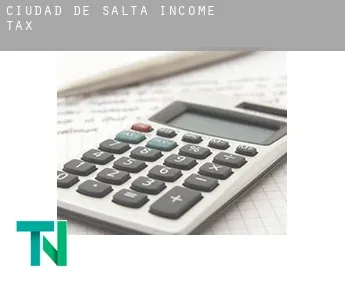 Salta  income tax