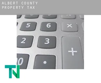 Albert County  property tax