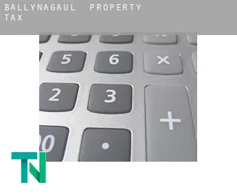 Ballynagaul  property tax