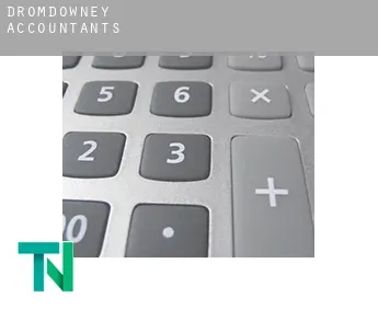 Dromdowney  accountants