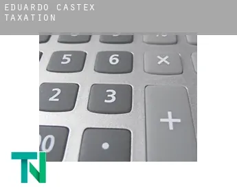 Eduardo Castex  taxation