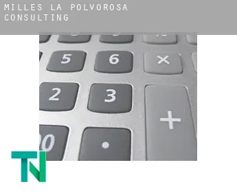 Milles de la Polvorosa  consulting