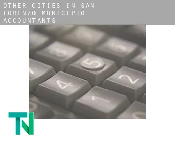 Other cities in San Lorenzo Municipio  accountants