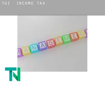 Tui  income tax