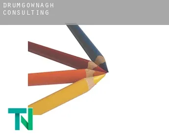 Drumgownagh  consulting