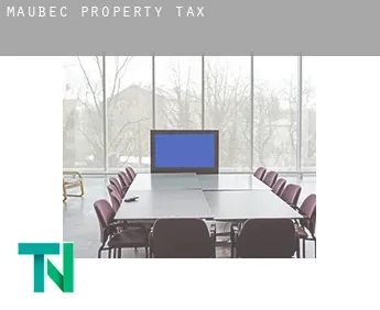 Maubec  property tax