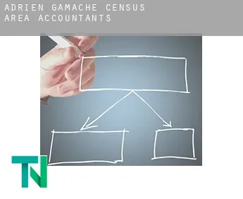 Adrien-Gamache (census area)  accountants