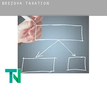 Březová  taxation