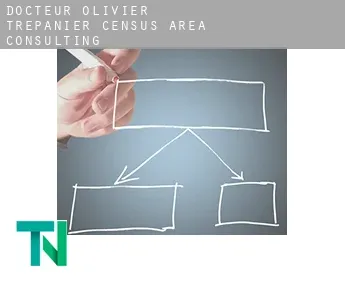 Docteur-Olivier-Trépanier (census area)  consulting