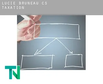 Lucie-Bruneau (census area)  taxation