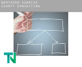 Northern Sunrise County  consulting