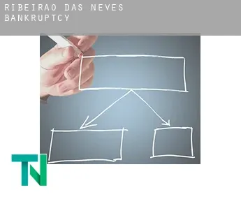 Ribeirão das Neves  bankruptcy