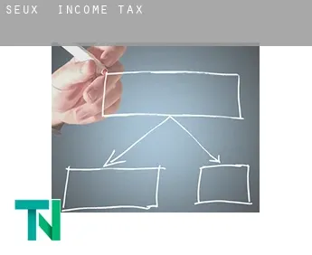Seux  income tax