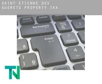 Saint-Étienne-des-Guérets  property tax