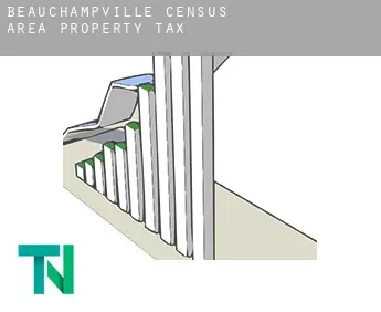 Beauchampville (census area)  property tax