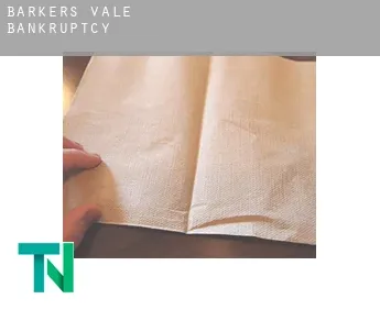 Barkers Vale  bankruptcy