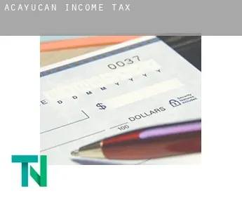 Acayucan  income tax