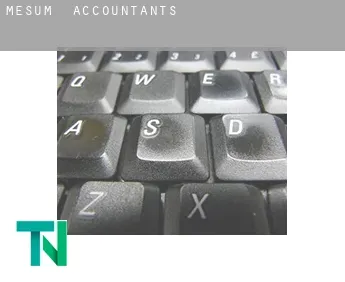 Mesum  accountants