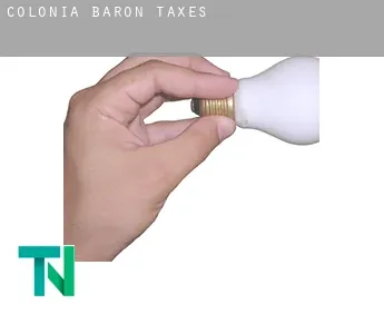 Colonia Barón  taxes