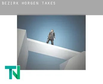 Bezirk Horgen  taxes